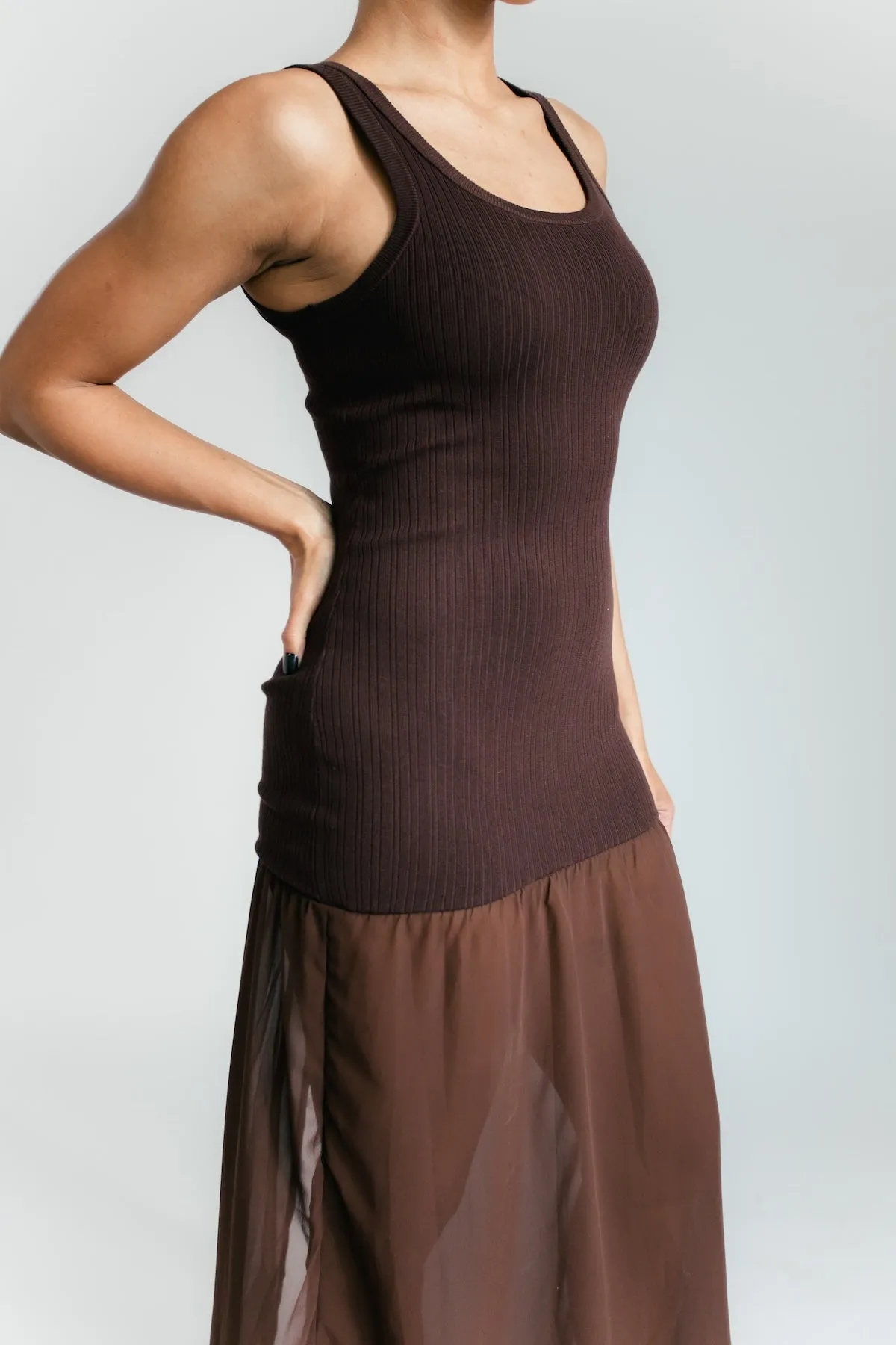 Carson Sheer Contrast Maxi Dress - Brown